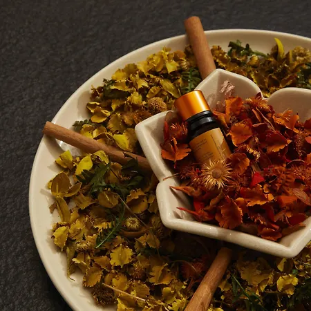 Hotel Angsana Corfu & Benitses (Corfu)