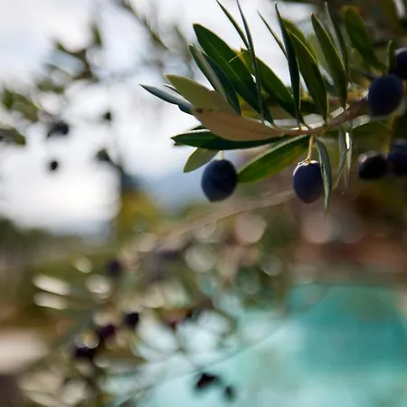 Angsana Corfu & 5* Benitses (Corfu)